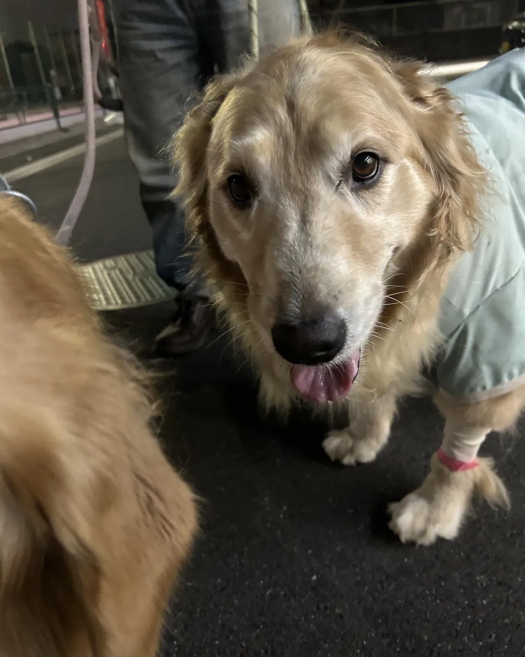 立川市中央病院の帰り道です。