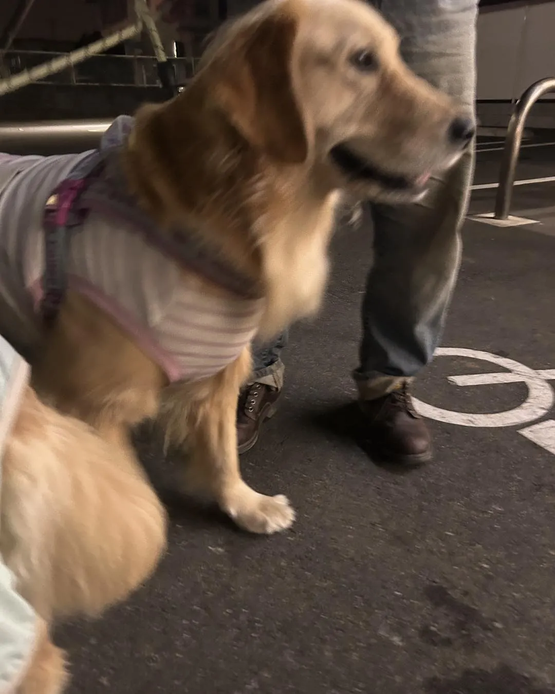 立川市中央病院の帰り道です。