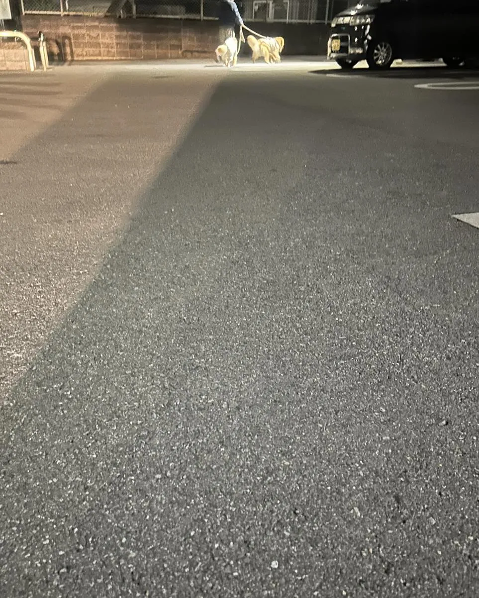 立川市中央病院の帰り道です。