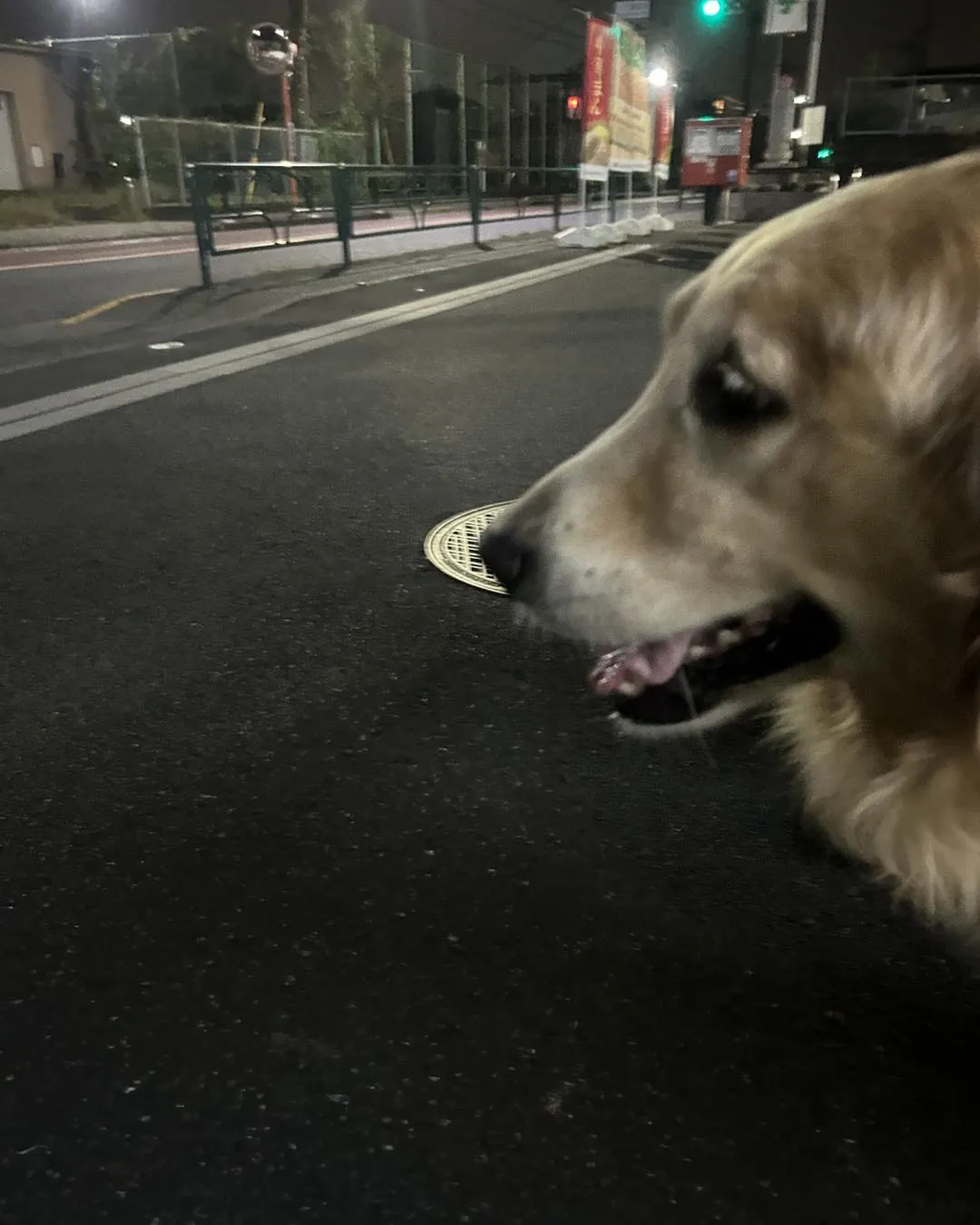 立川市中央病院の帰り道です。