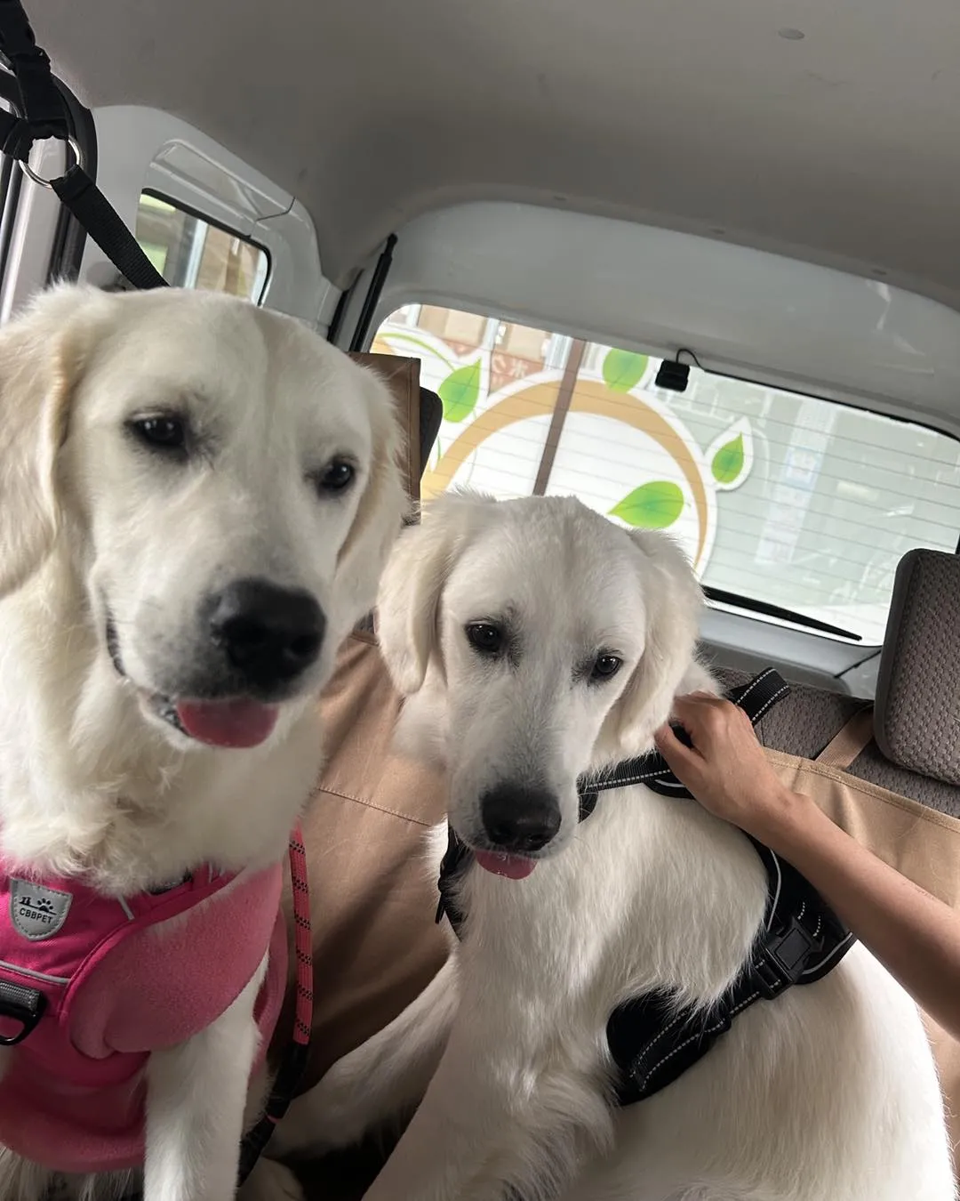 くう動物病院の駐車場です。