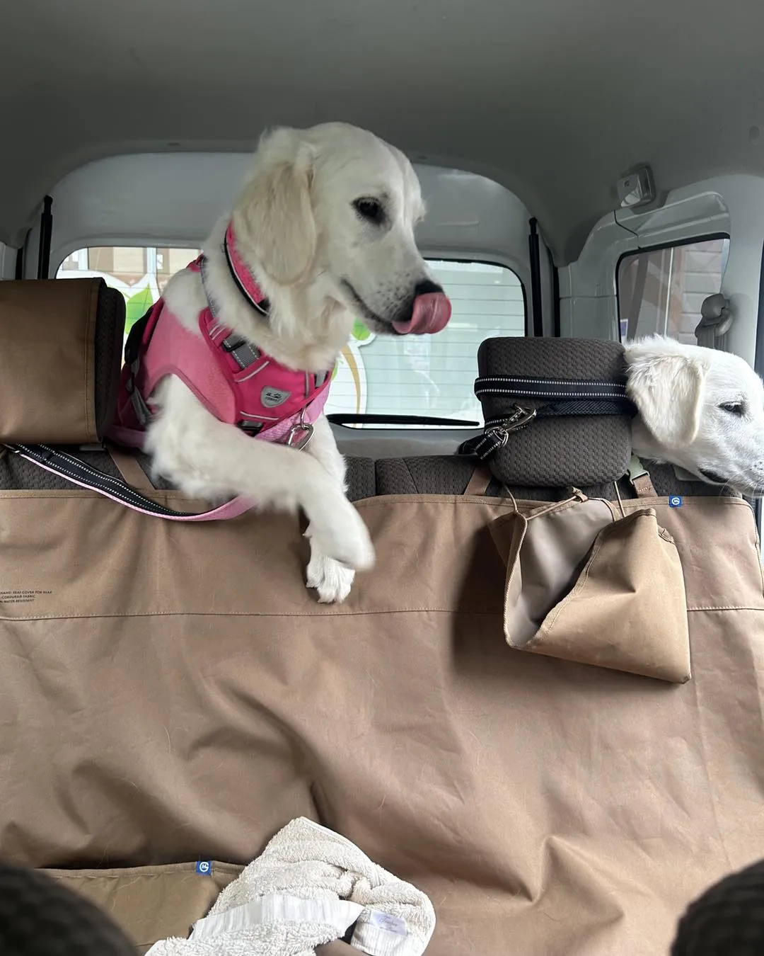 くう動物病院の駐車場です。