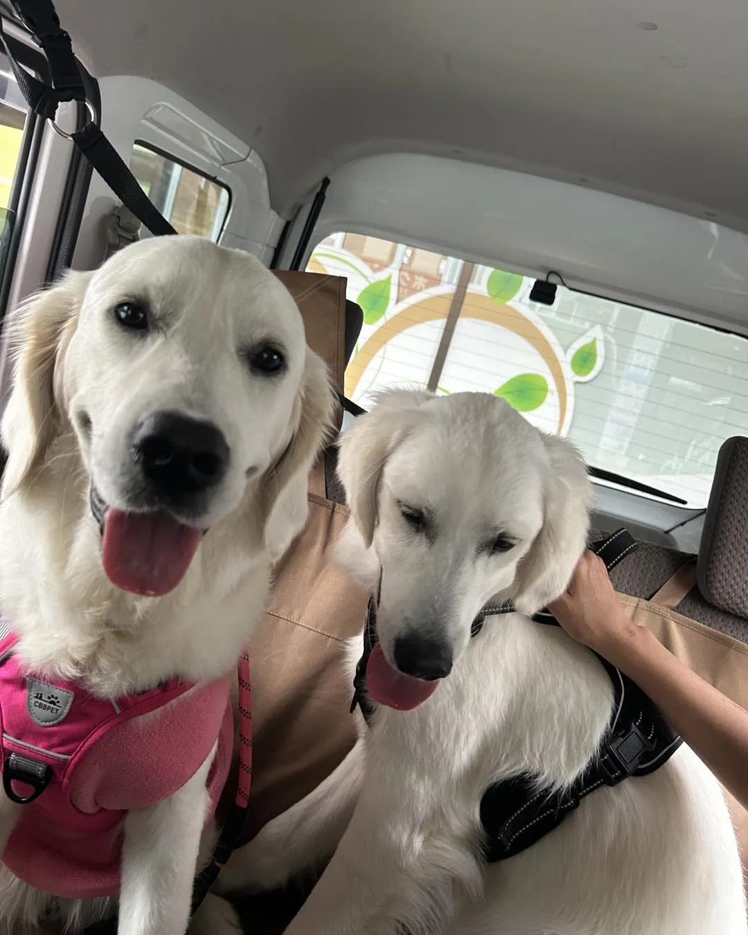 くう動物病院の駐車場です。