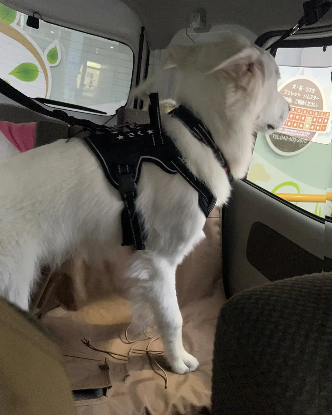 くう動物病院の駐車場です。