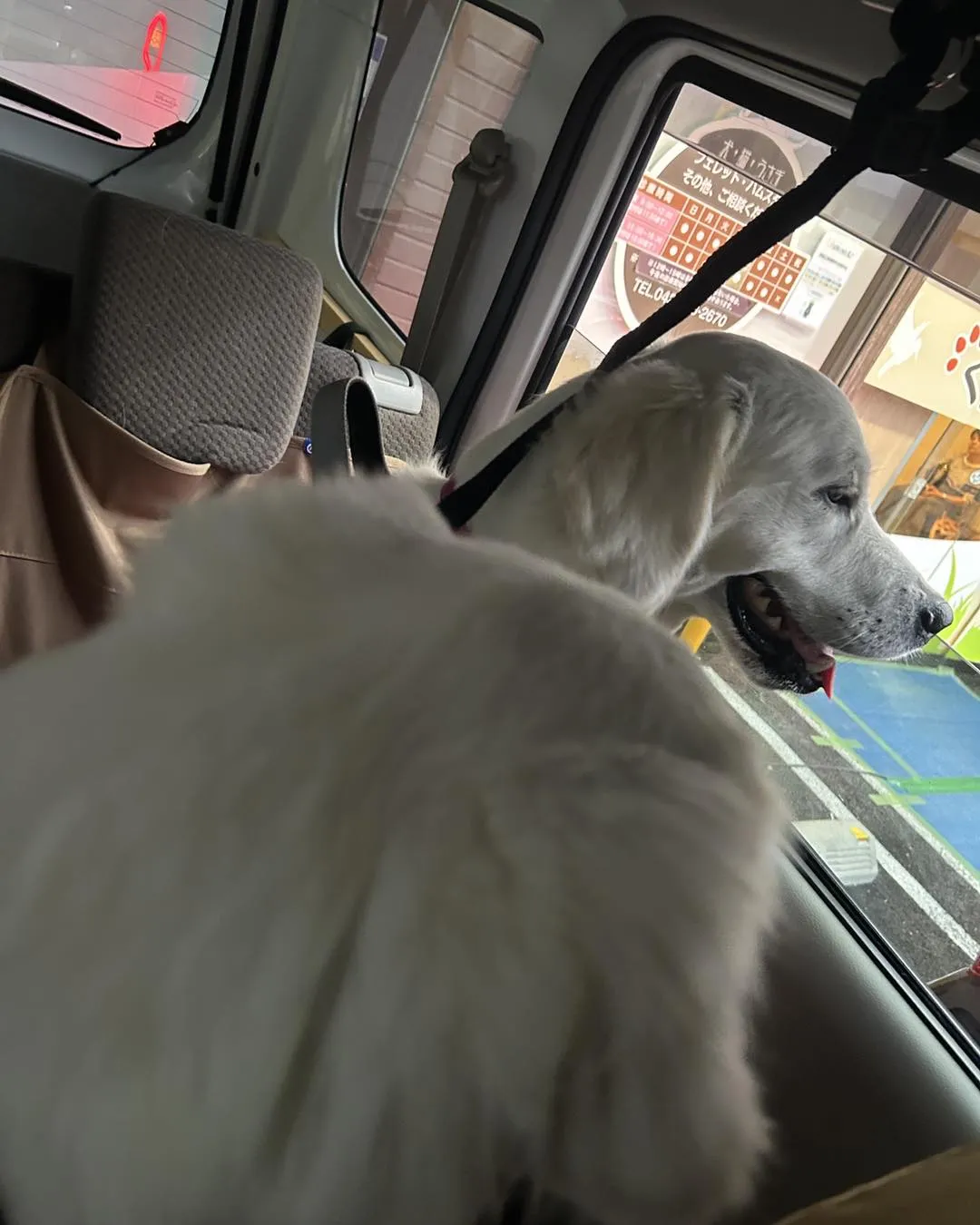 くう動物病院の駐車場です。