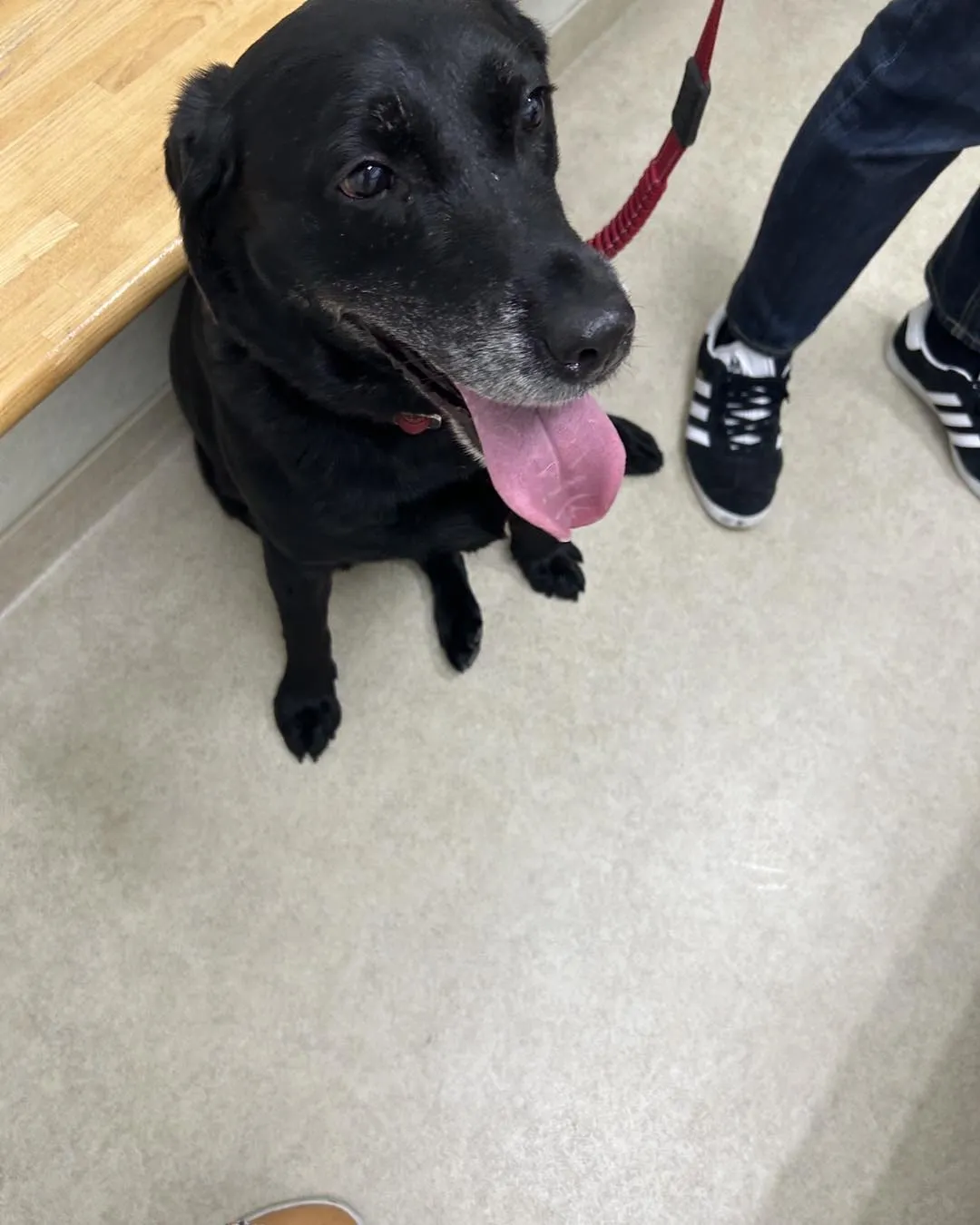 みなみ野動物病院です。