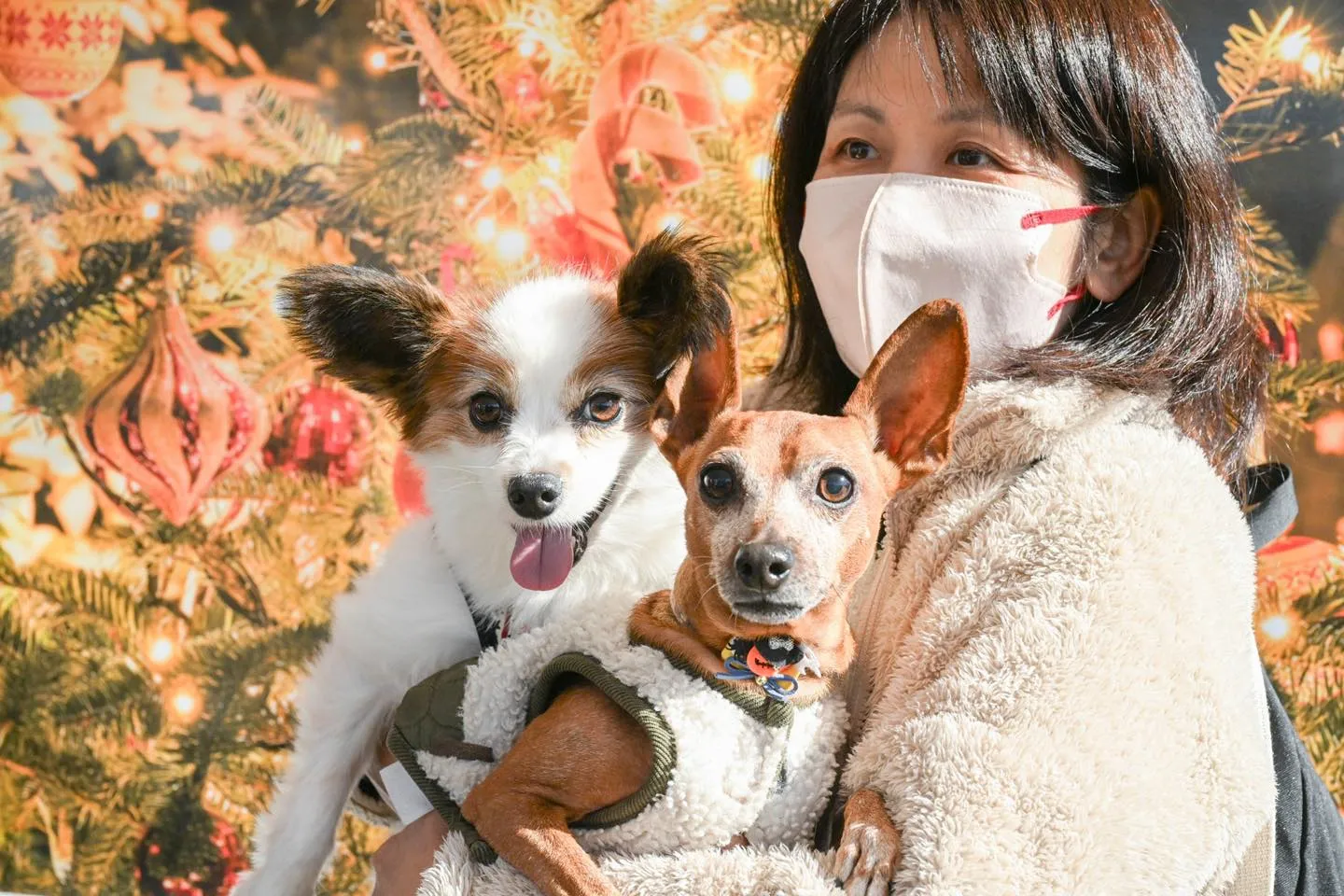 はじめて昭和記念公園のしっぽフェスタ行きました。