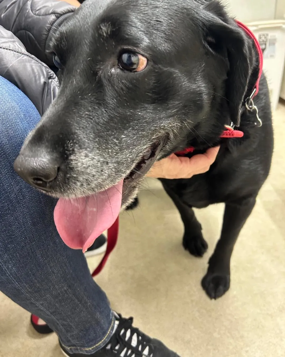 みなみ野動物病院です。