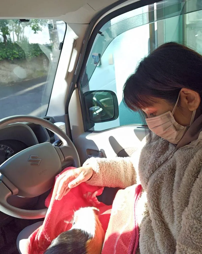 みわエキゾチック動物病院駐車場です。