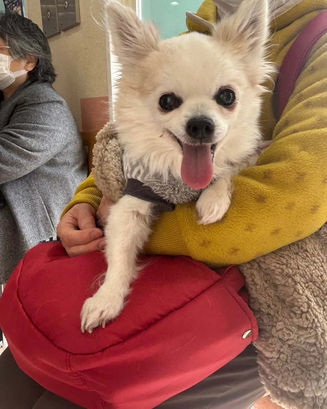 みなみ野動物病院です。