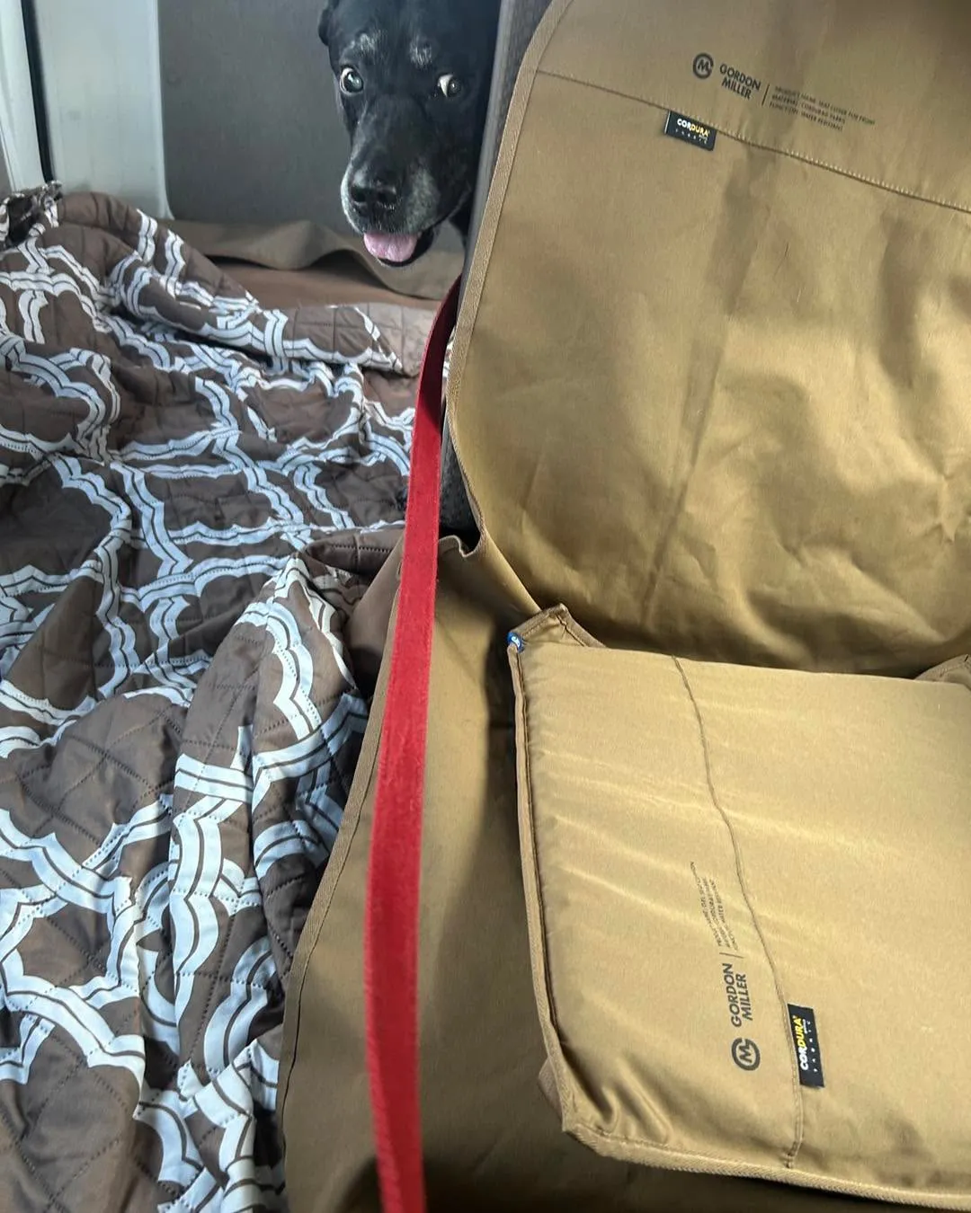 ドクターオザワさんです。