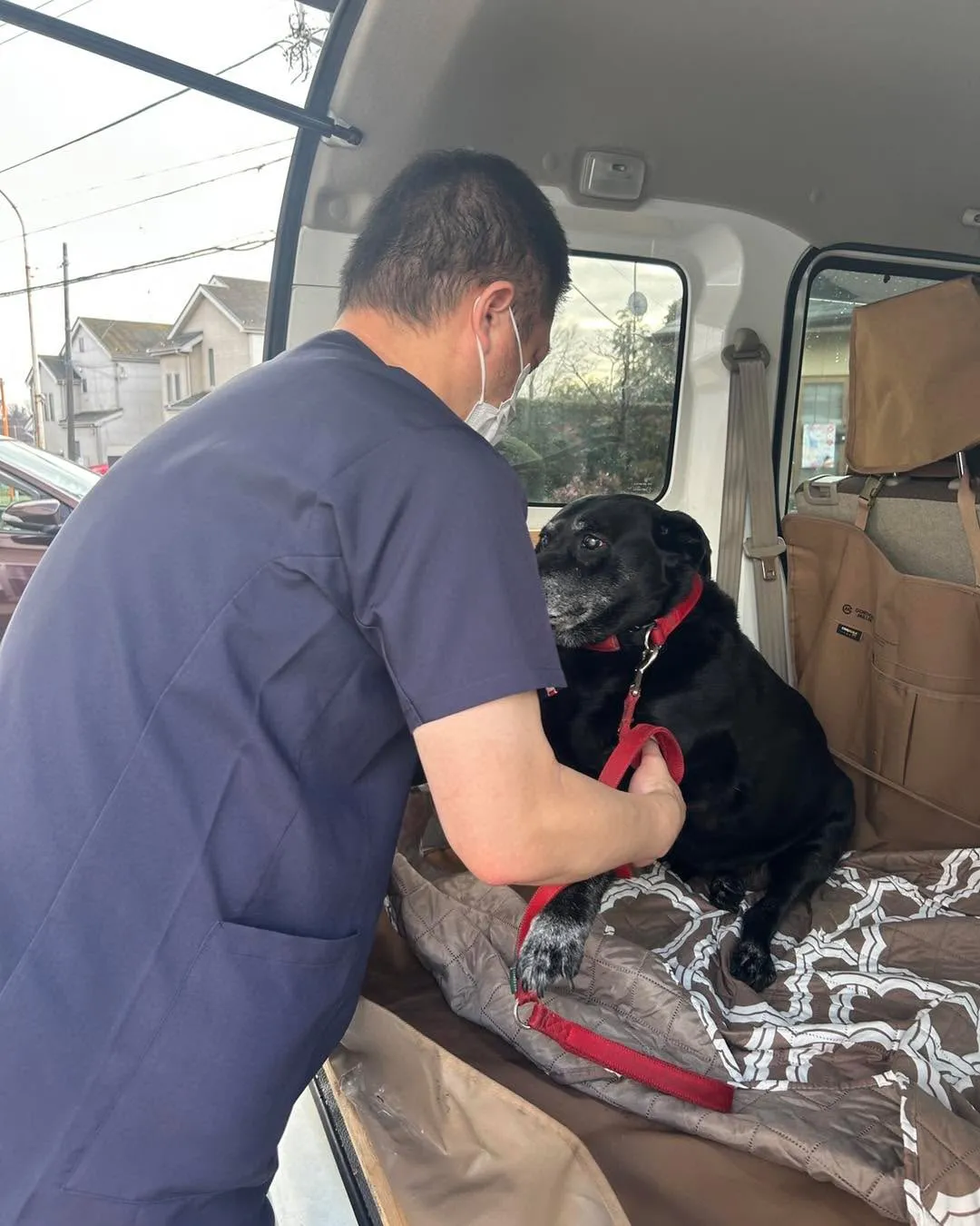 ドクターオザワさんです。