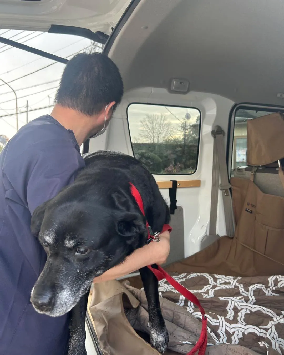 ドクターオザワさんです。