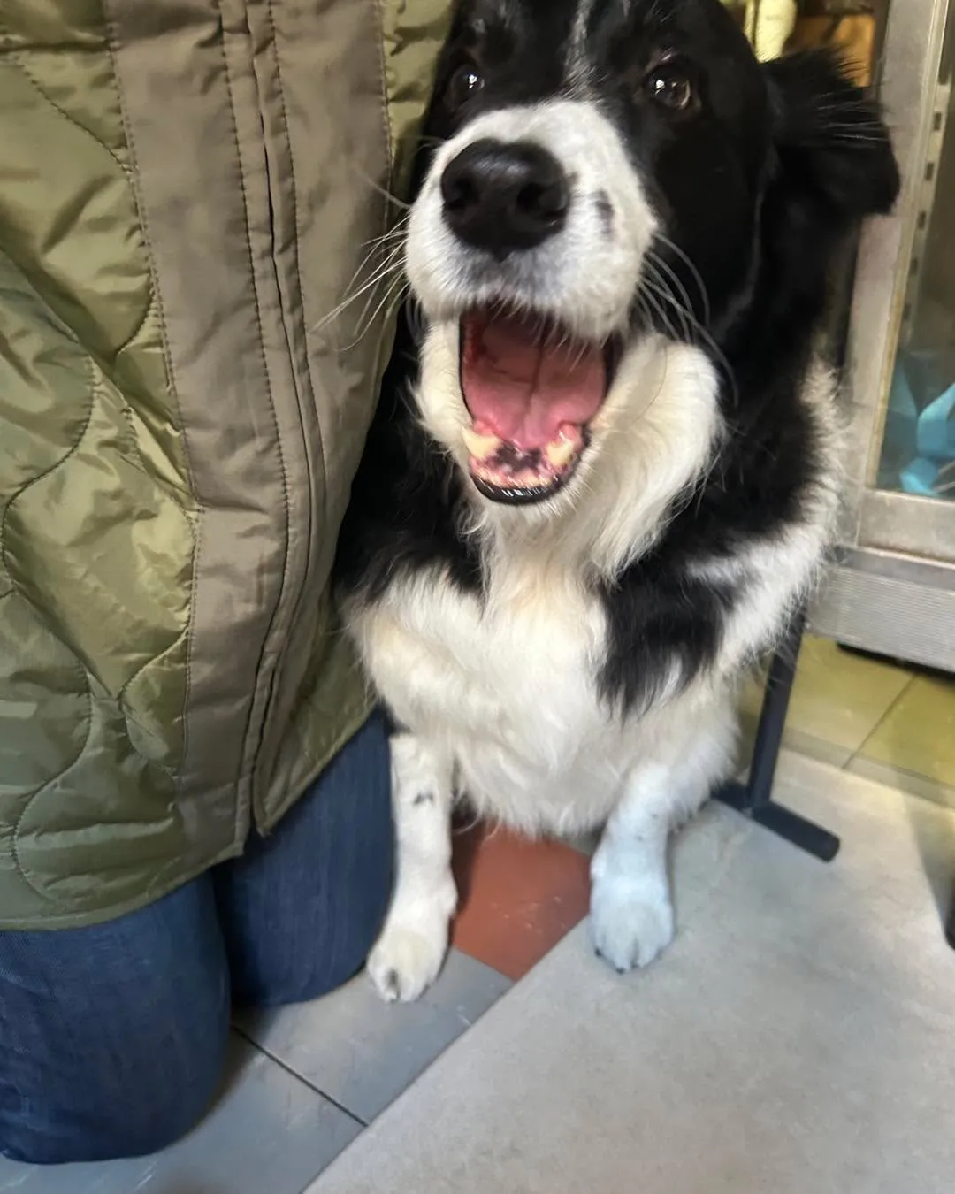 みなみ野動物病院、併設のトリミングSaloaさん