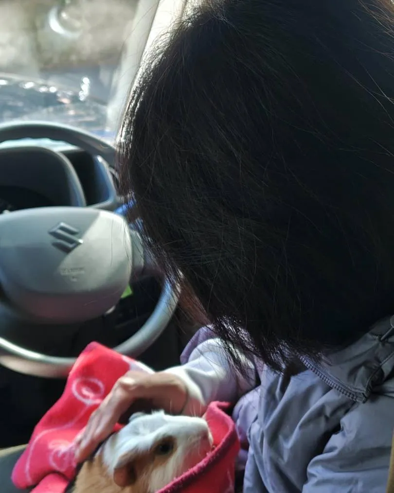 みわエキゾチック動物病院です