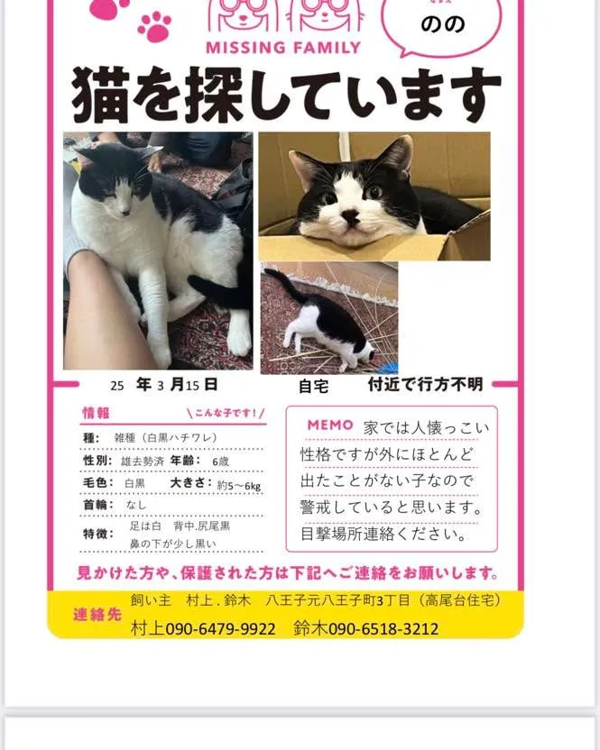 猫をさがしています