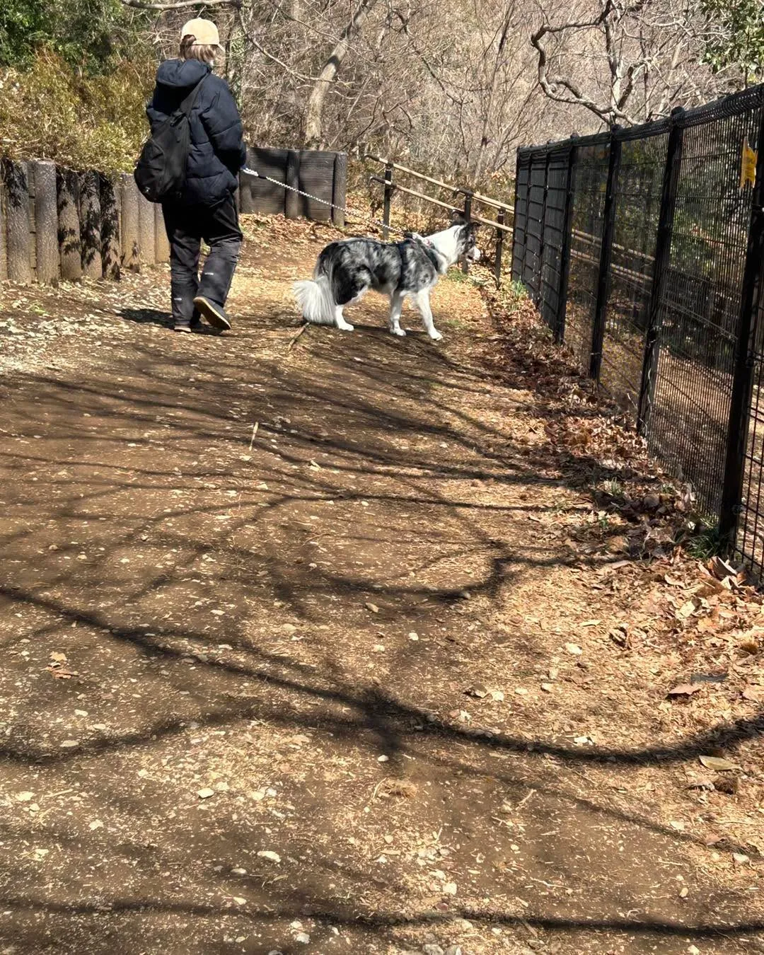 桜ヶ丘公園ドッグランです。