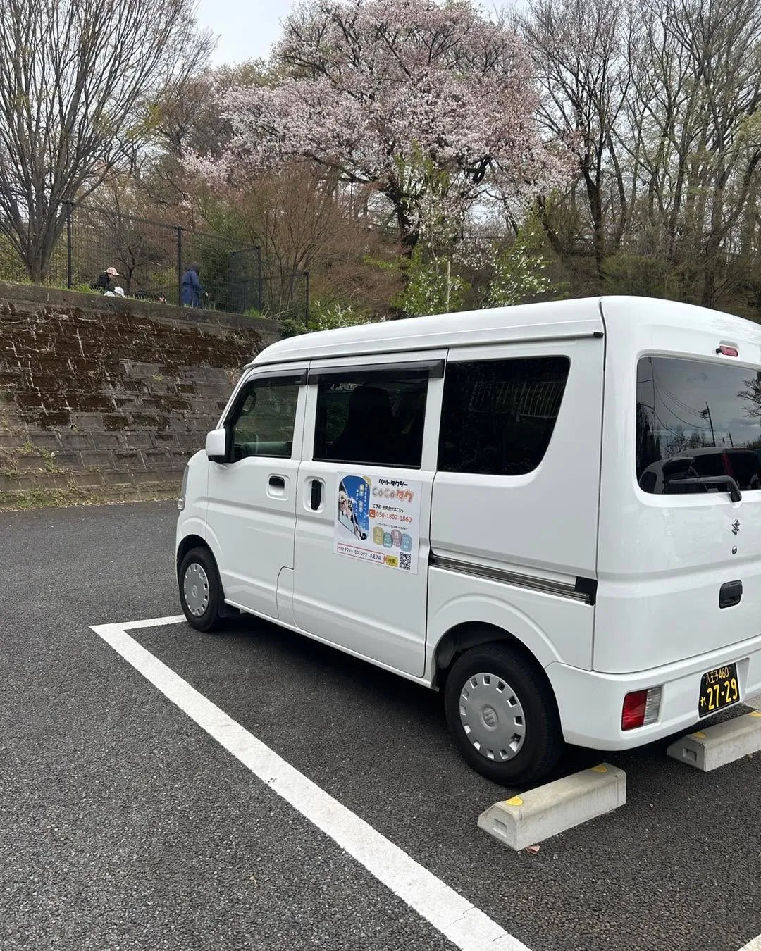 桜ヶ丘公園のドッグランです。