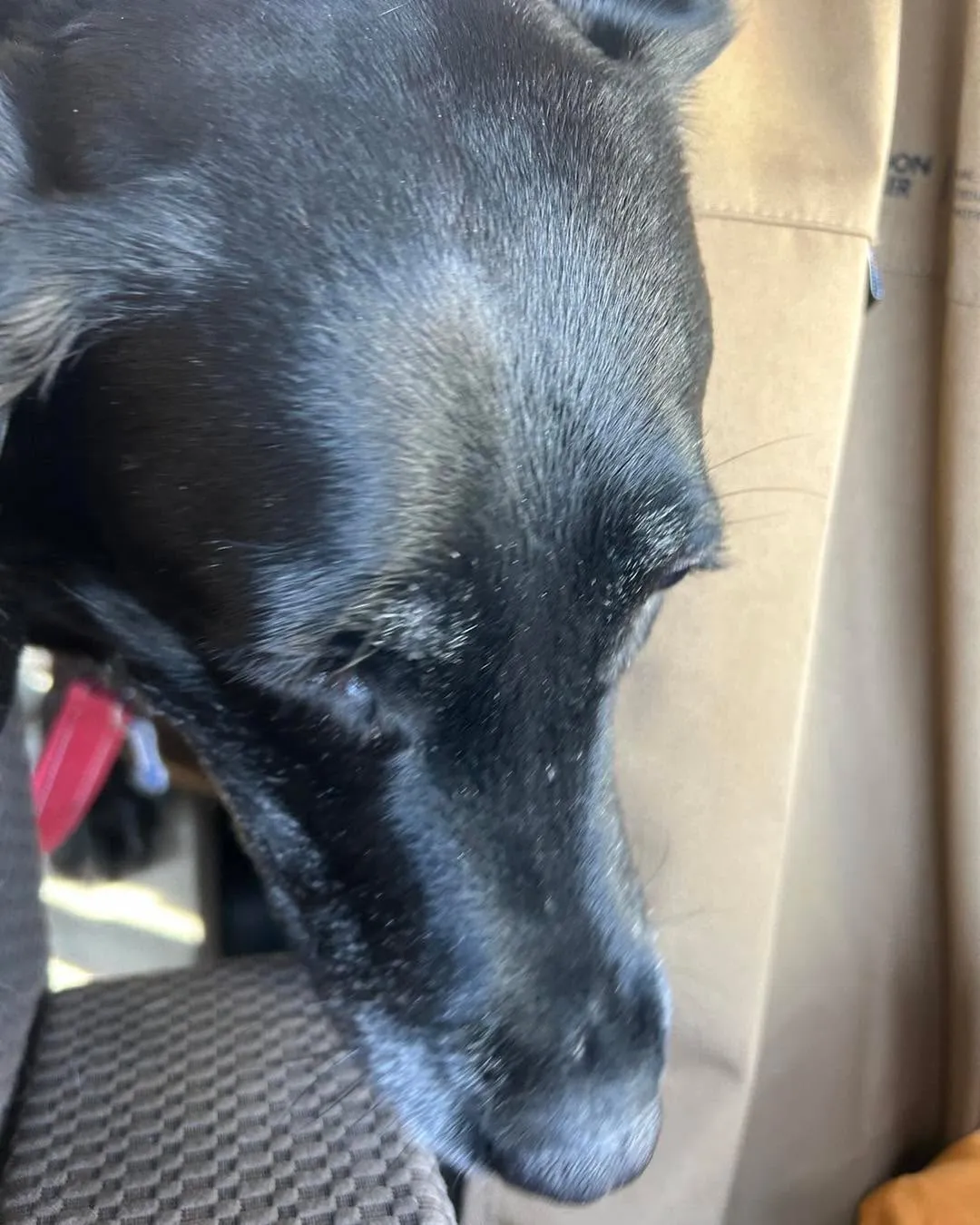 みなみ野動物とSaloaです。