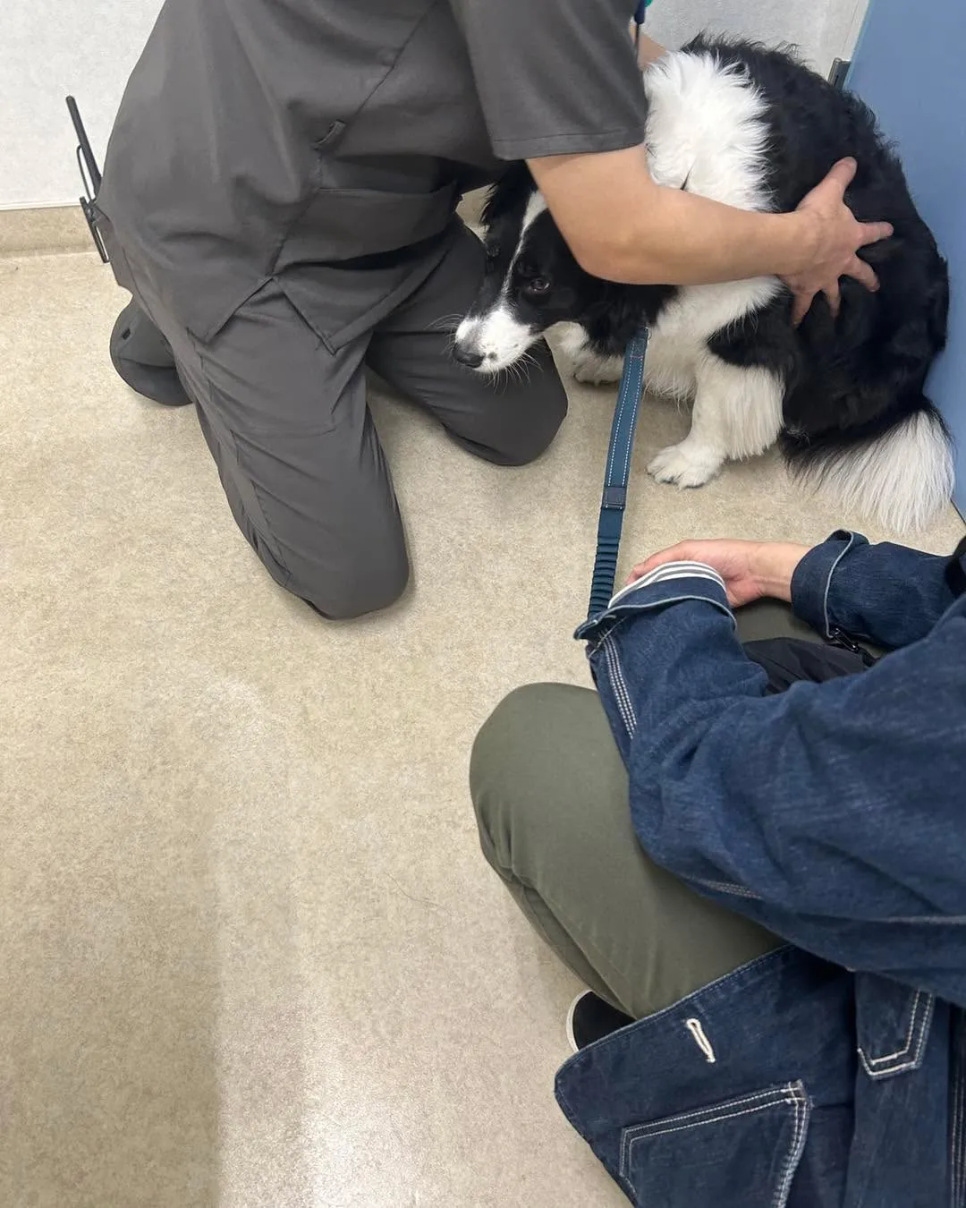 みなみ野動物とSaloaです。