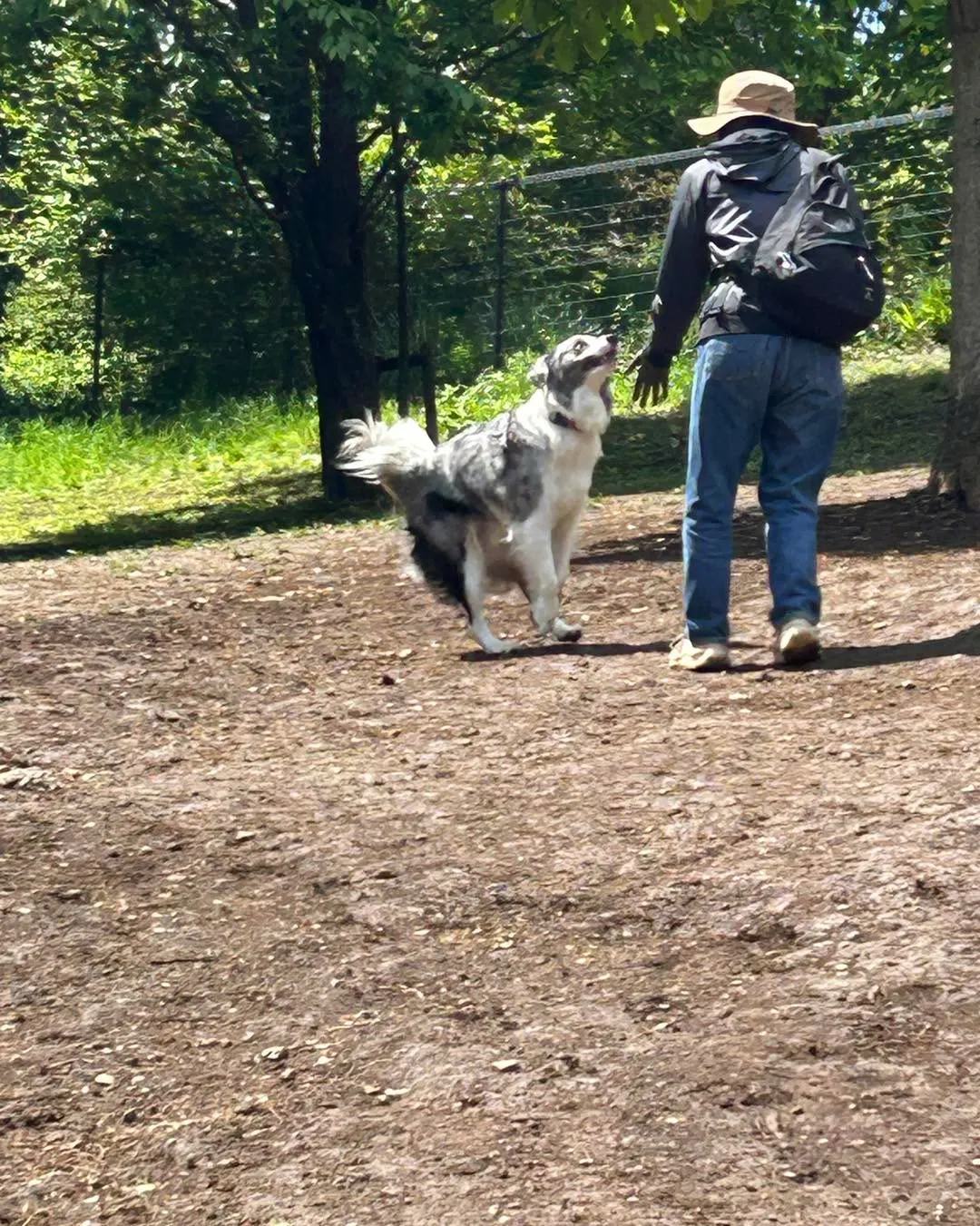 桜ヶ丘公園ドッグランです。
