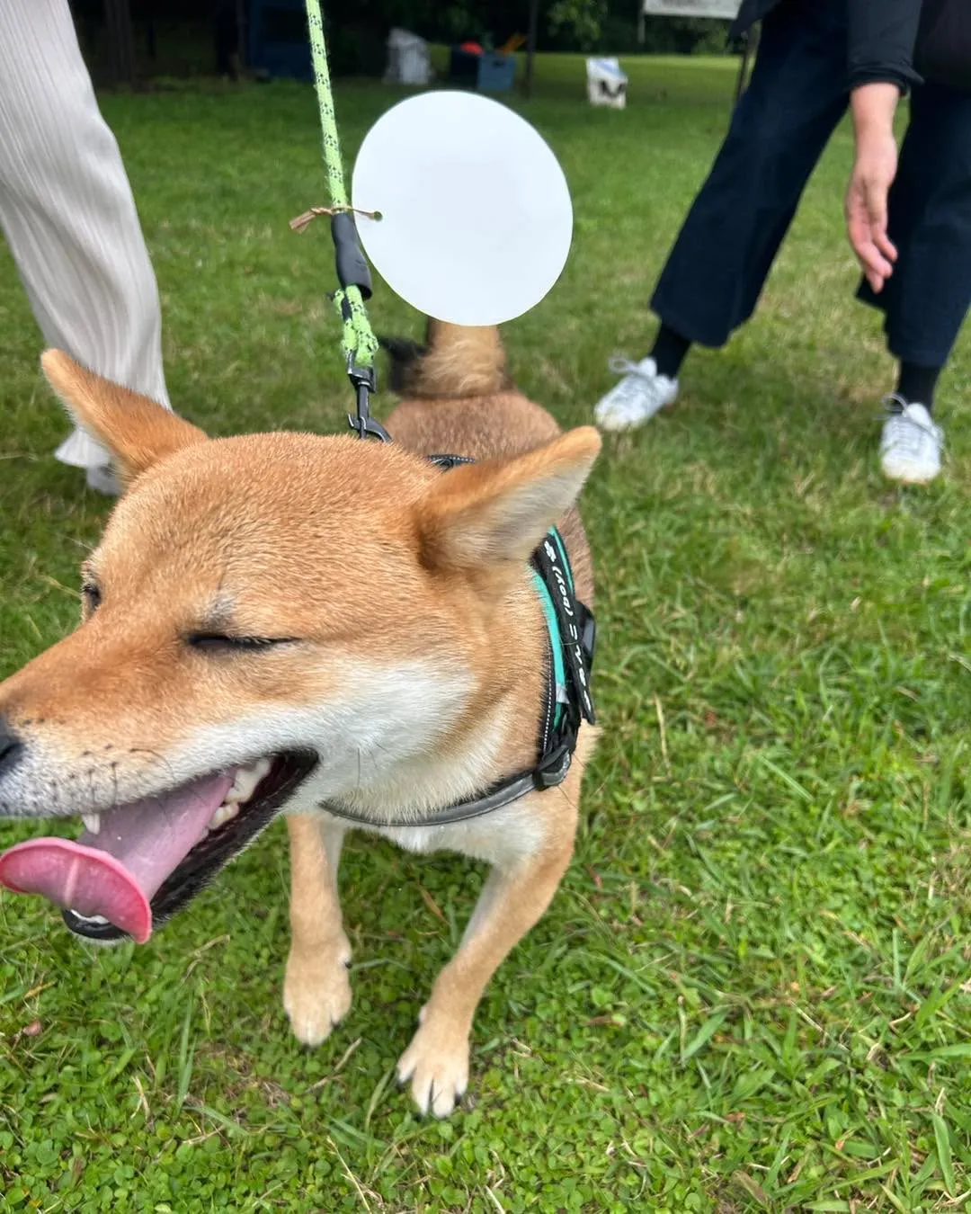 イーノの森　DOG　Gardenです。