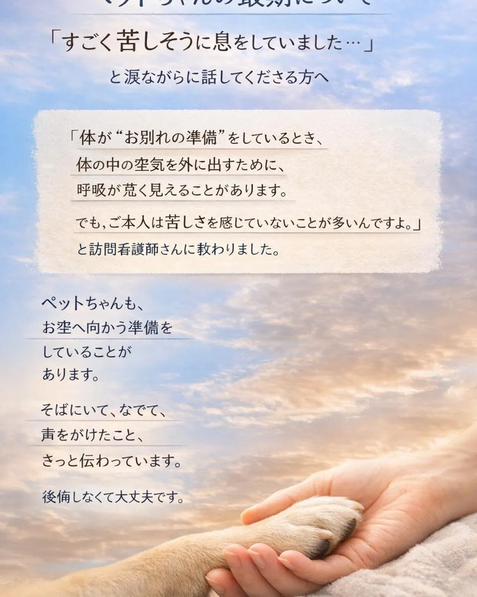 ペットちゃんの最期について