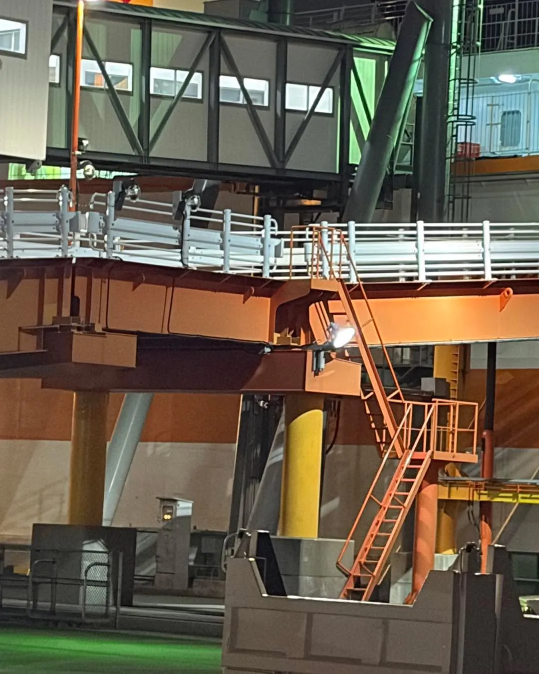 🐾🚢【北九州フェリーペット移動サポート】🚢🐾