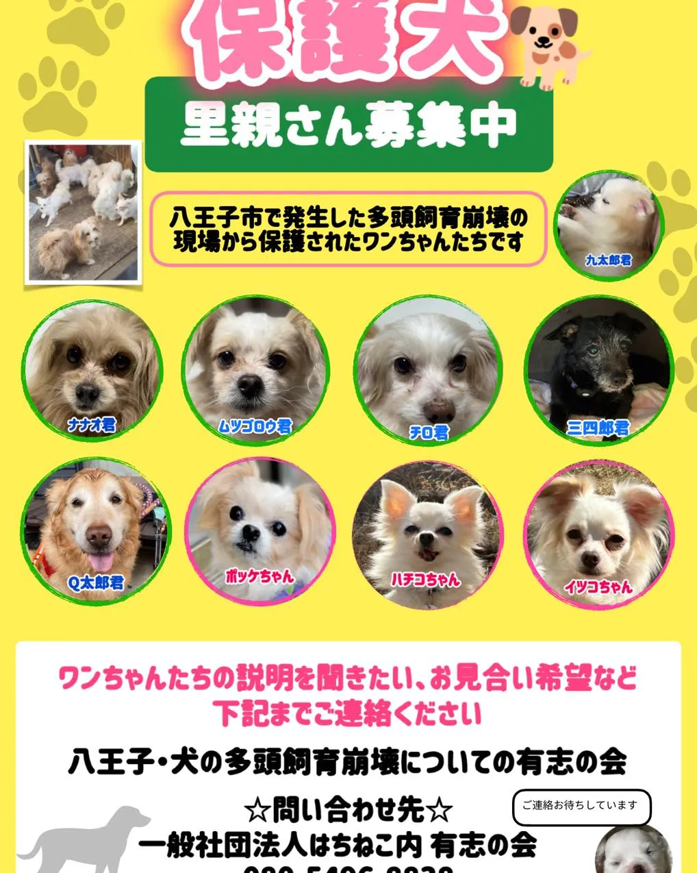 この子たちにずっとのお家を探しています🏡💗