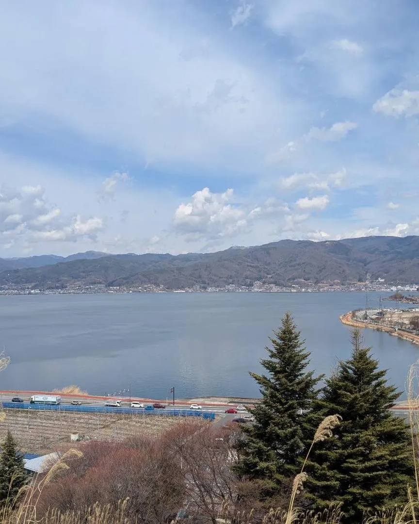 🚕🐶【ペットケアタクシー｜大阪→長野・東京対応】🐱✨ 