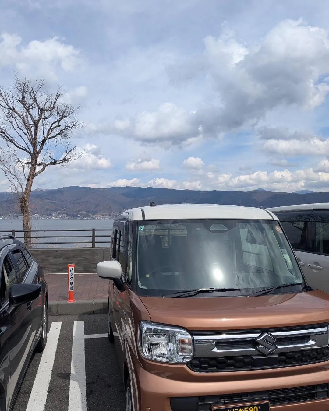 🚕🐶【ペットケアタクシー｜大阪→長野・東京対応】🐱✨ 