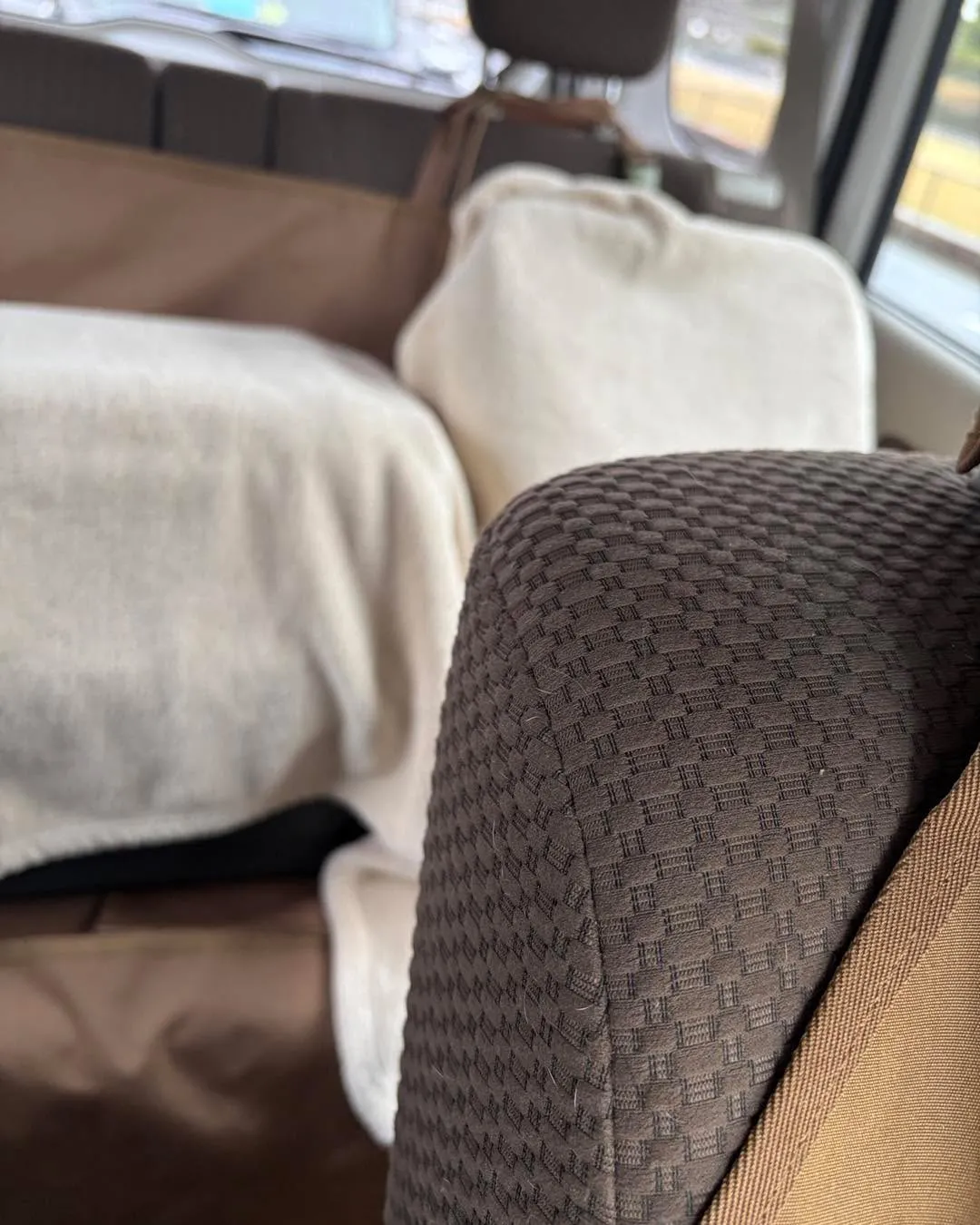 東京から札幌へ、猫ちゃん2匹との長距離移動🚄🐾 