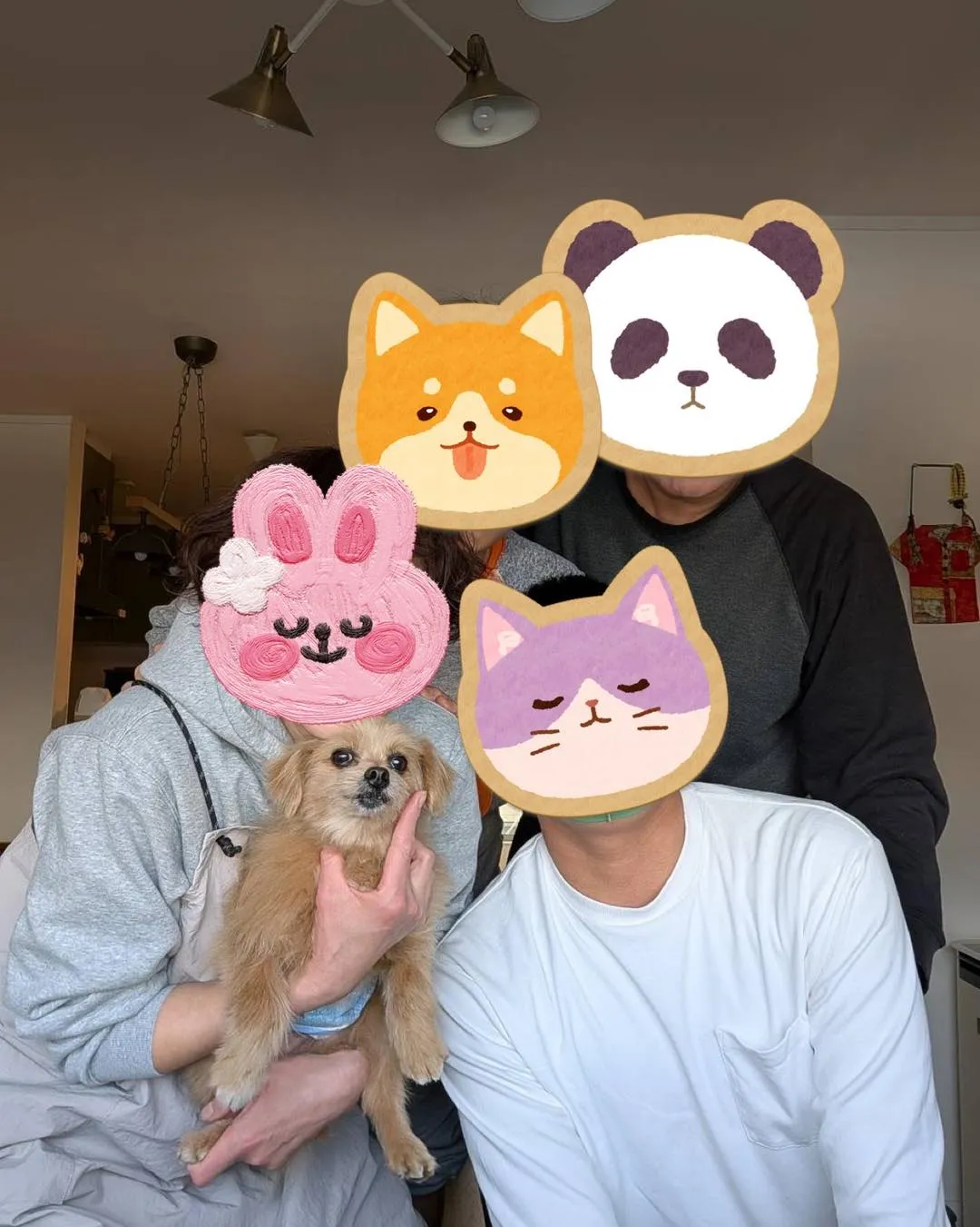 本日は、はちねこマルシェの譲渡会に参加しました🐶🌸