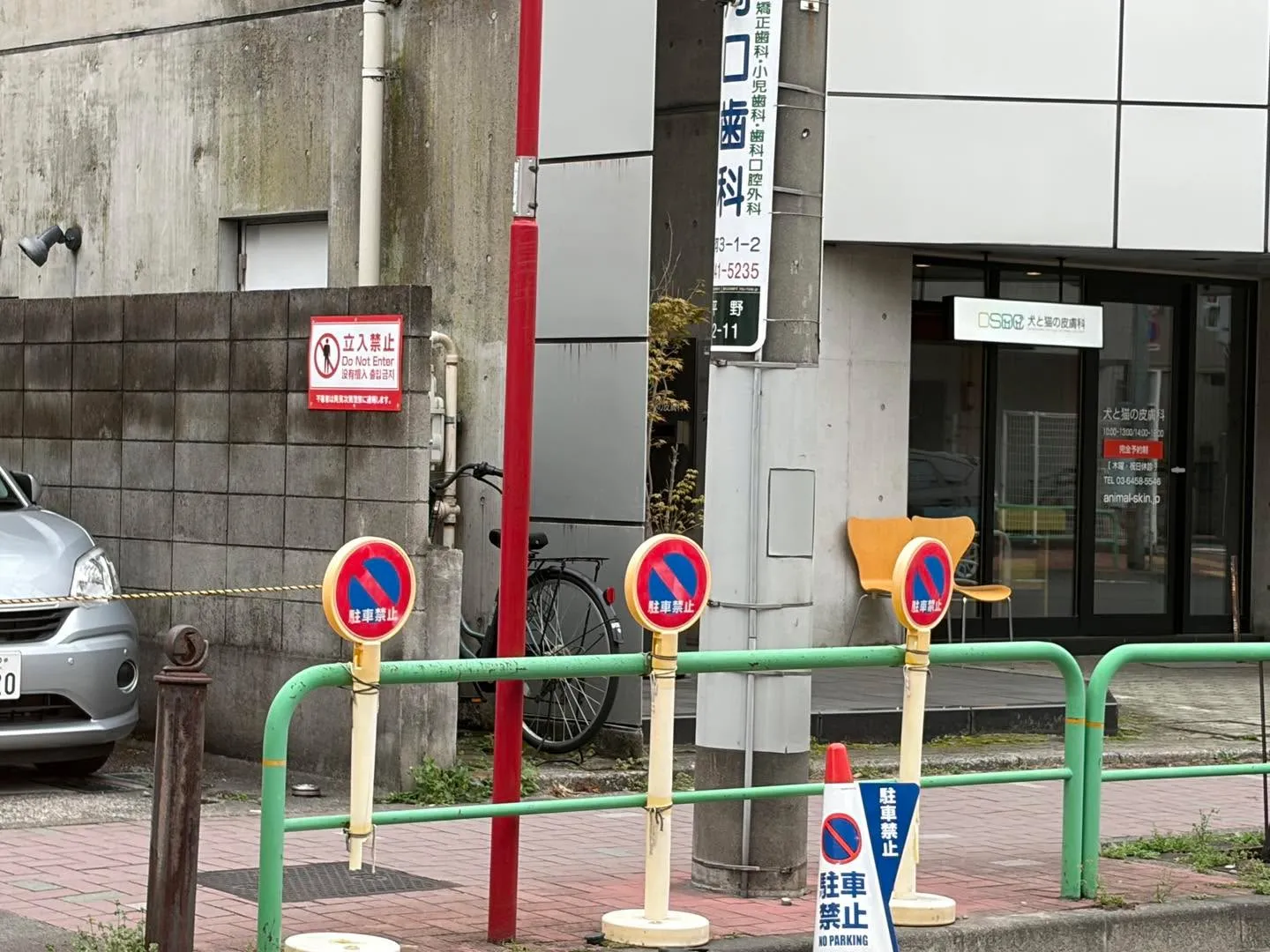 🐾【東京のペットタクシー|動物病院送迎・通院サポート】