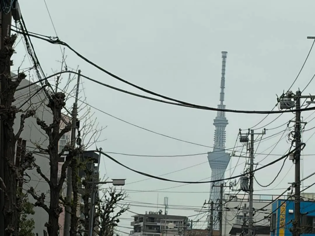 🐾【東京のペットタクシー|動物病院送迎・通院サポート】