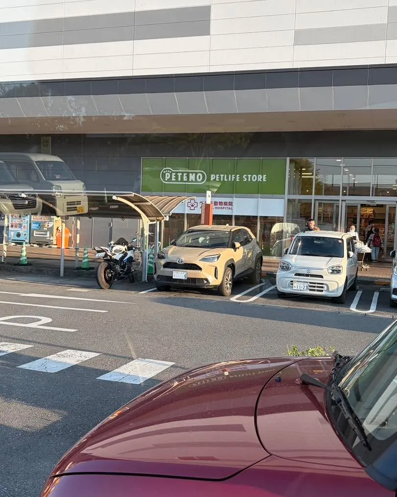 🐕✨柴犬ちゃんのお泊まり送迎