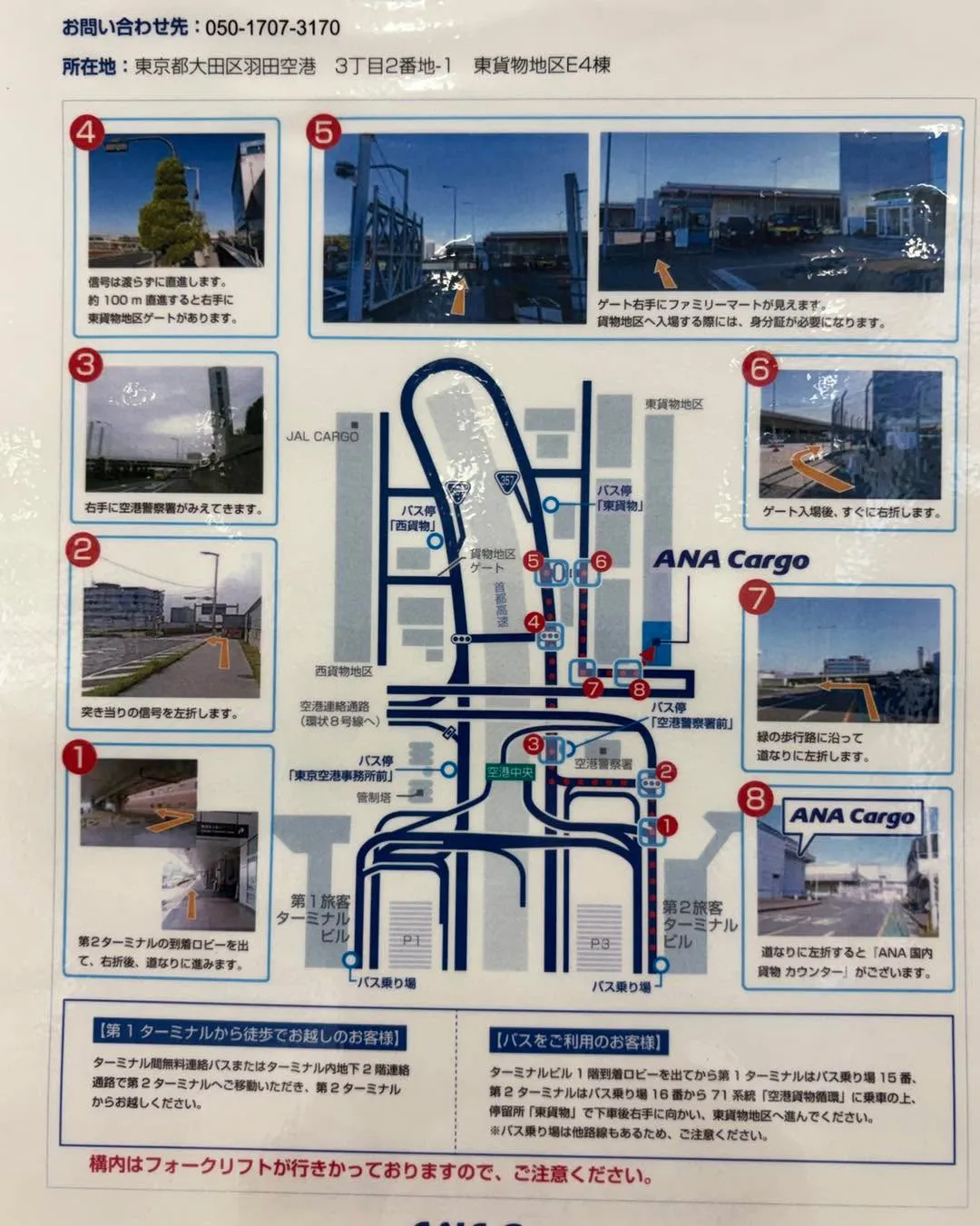 ✈️羽田空港ANA Cargoから猫ちゃん2匹をお迎え🐱🐱