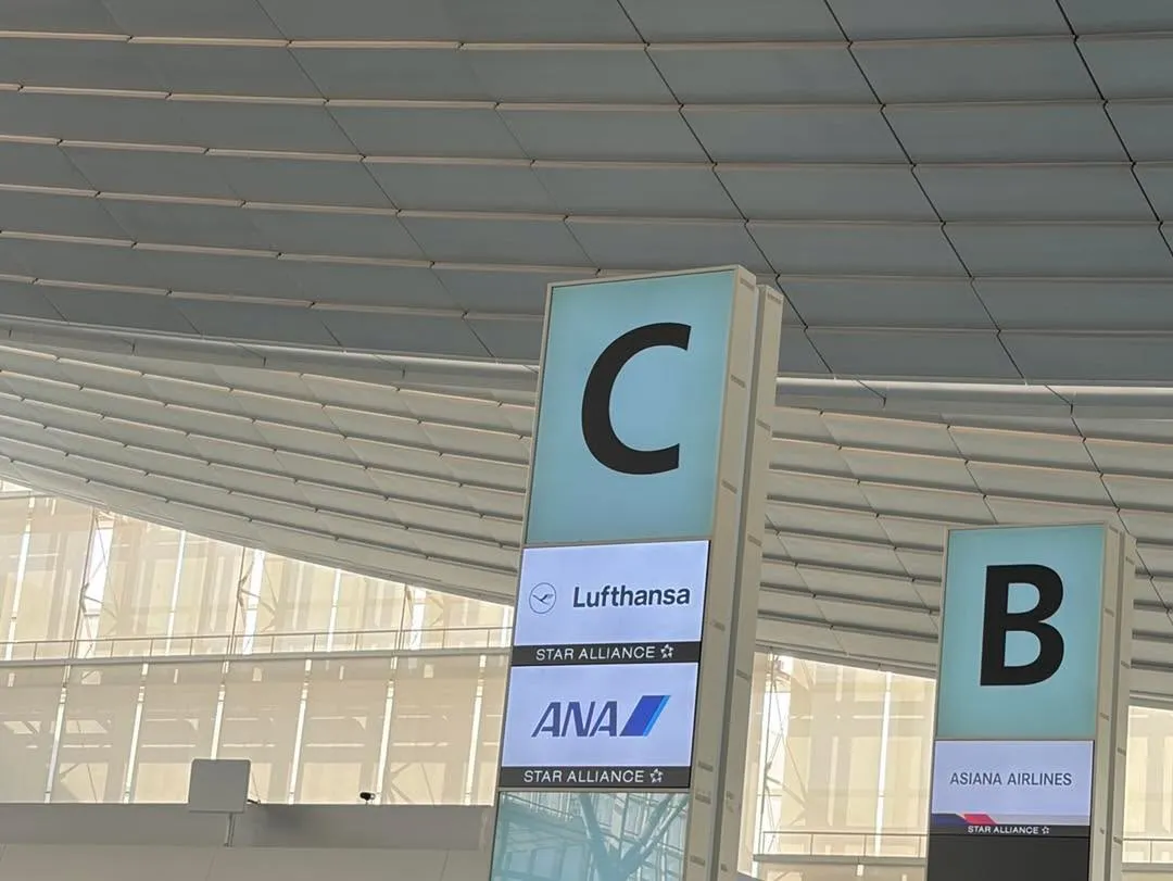 ✈️ 空港送迎 × ドゥードゥルちゃん🐶