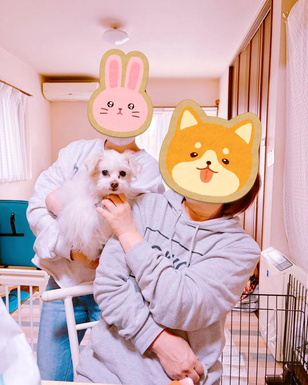 多頭飼育崩壊の現場から保護された