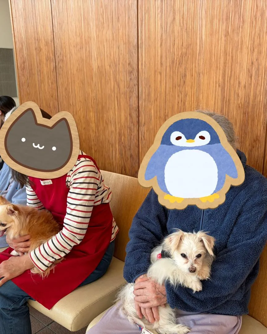 多頭飼育崩壊の現場から保護された