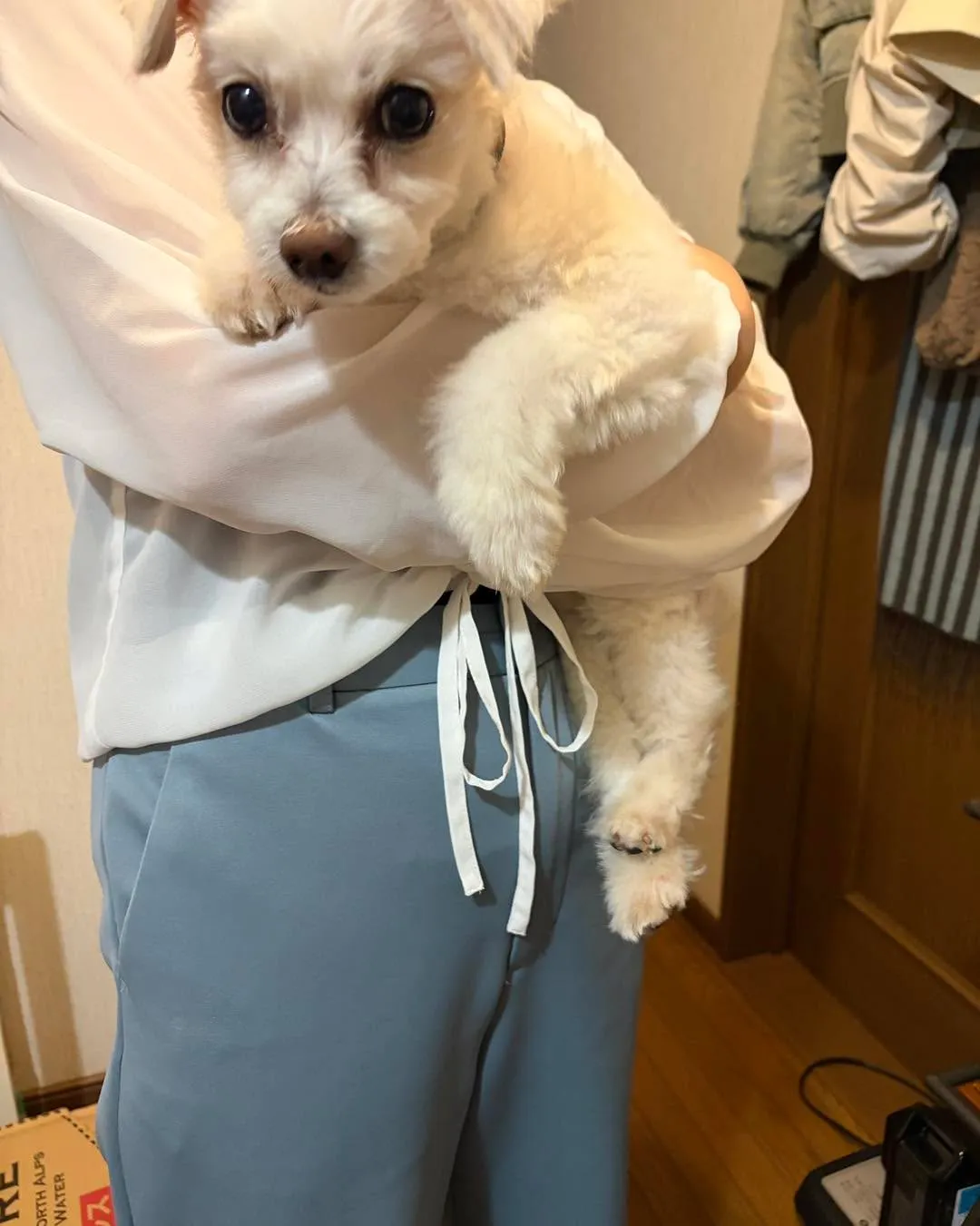 🐾ご報告🐾