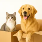 ペット引越し