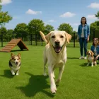 ドッグラン送迎