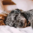 おうちで受けられる安心ケア