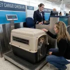 シッター同行移動（新幹線・飛行機・フェリー）