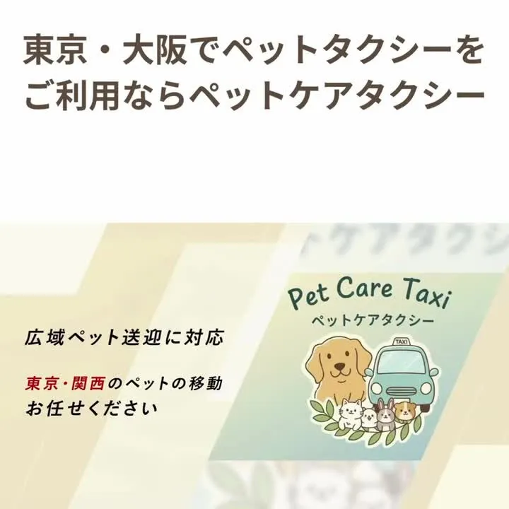 🚗🐶 東京・大阪のペット輸送なら