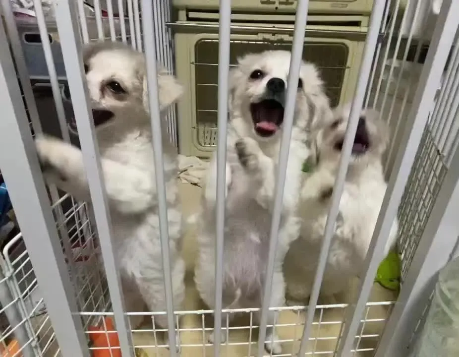 もうすぐトライアル